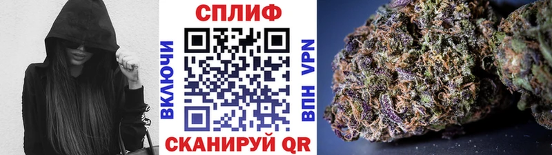 Конопля конопля  Купить  Избербаш 